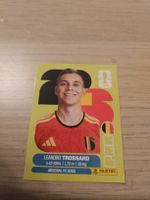 Panini WM 2026 BEL 18