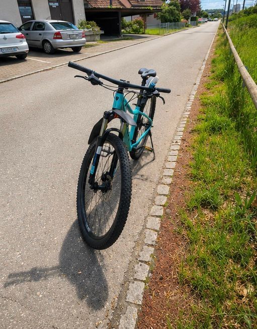 Trek Biciclette: Trek Marlin 5 – Usato da Langenthal venduto da noahleon 2