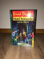 Fünf Freunde und die wilde Jo - Jugendlesebuch - Bertelsmann