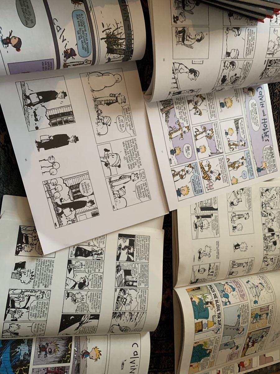 BD: CALVIN und HOBBES 5 Comics – D'occasion à Uster par bek_v2ct 4