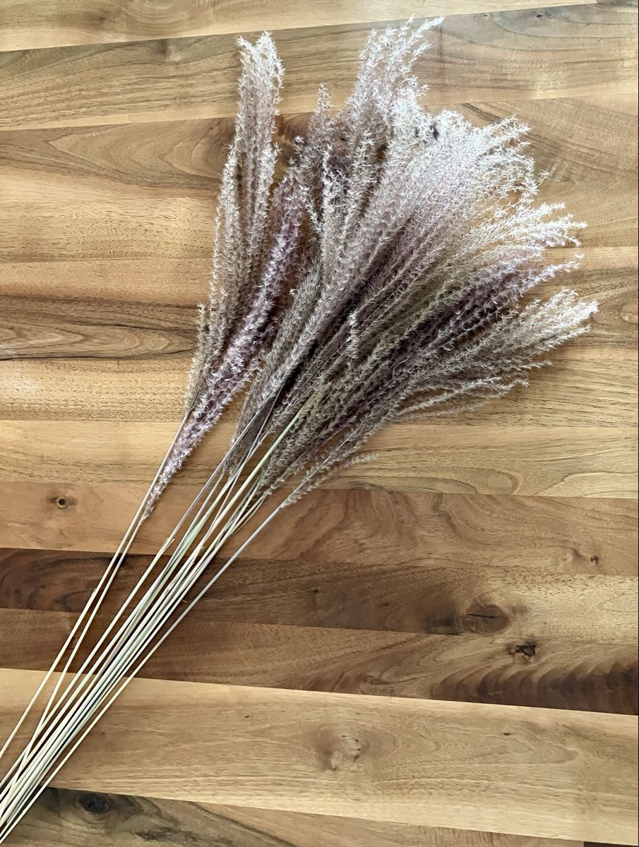 Tutte le decorazioni: Trockenblumen, Deko Gras - neu – Nuovo (secondo la descrizione) da Stansstad venduto da kerri8