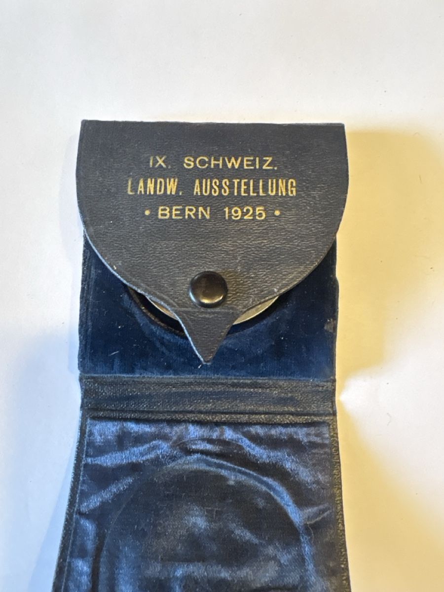 Medaglie: Landw.Ausstellung Bern 1925 – Usato da Murten venduto da Tzaugg 4