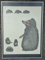 Zbinden Emil, Igel mit Jungen, E.A., Holzschnitt, zweifarbig