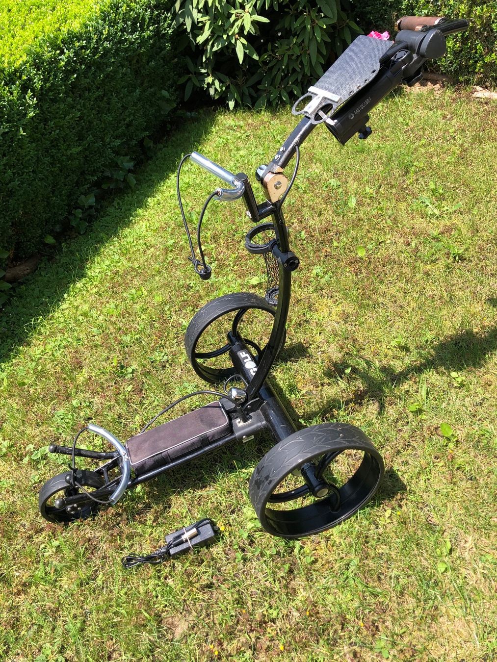 Trolleys: Golf Trolley, Agent-Golf Lithium 29V – Gebraucht aus Schaffhausen von pbrunos1 2