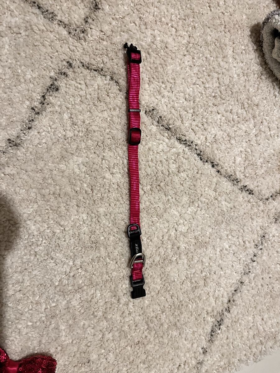 Nastri decorativi: Pink ZeeDog adjustable dog collar XS – Nuovo (secondo la descrizione) da Affoltern am albis venduto da onlyrose123 1