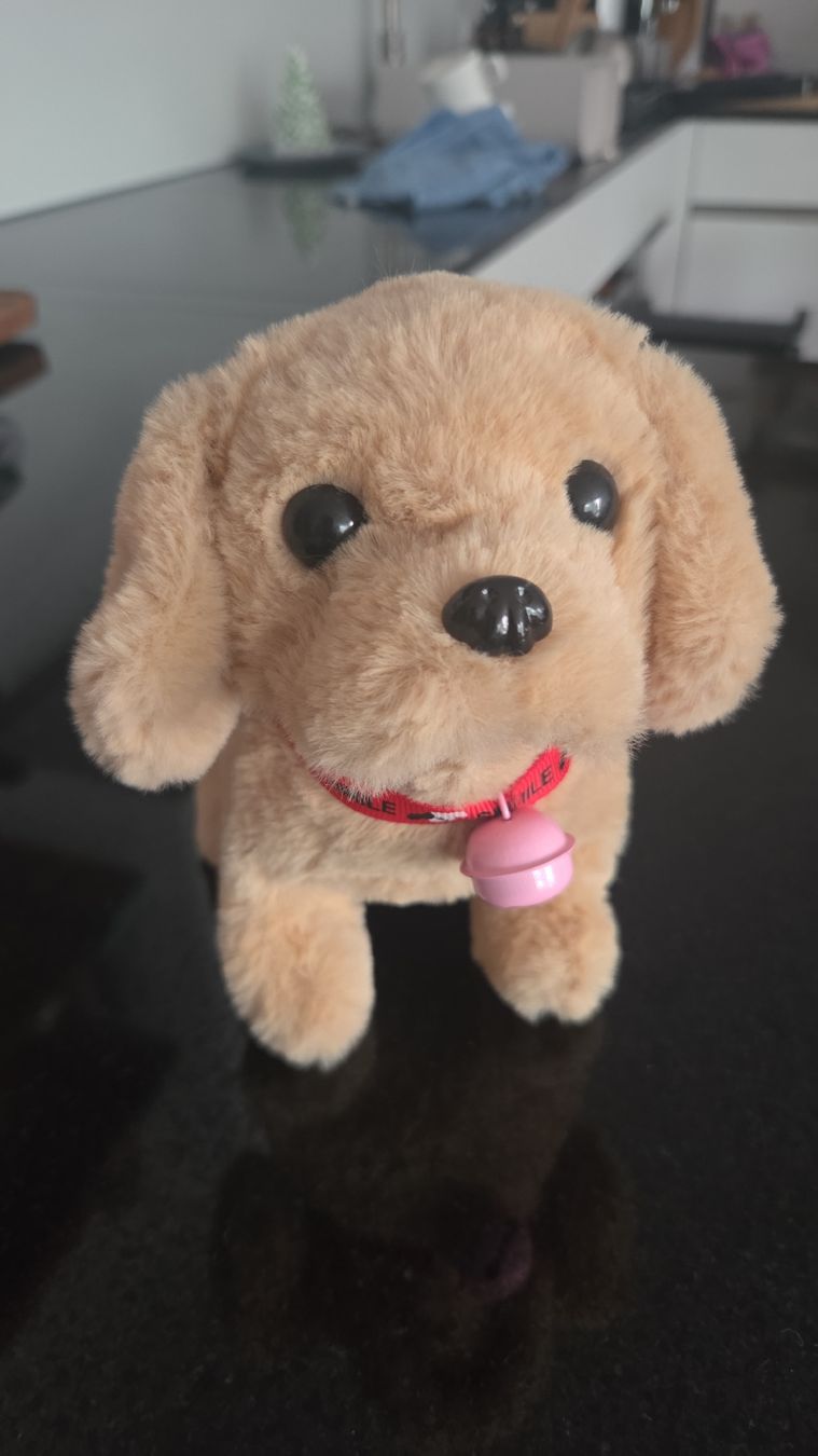 Jouets: Stofftier Hund  – D'occasion à Ostermundigen par kriiiii 1