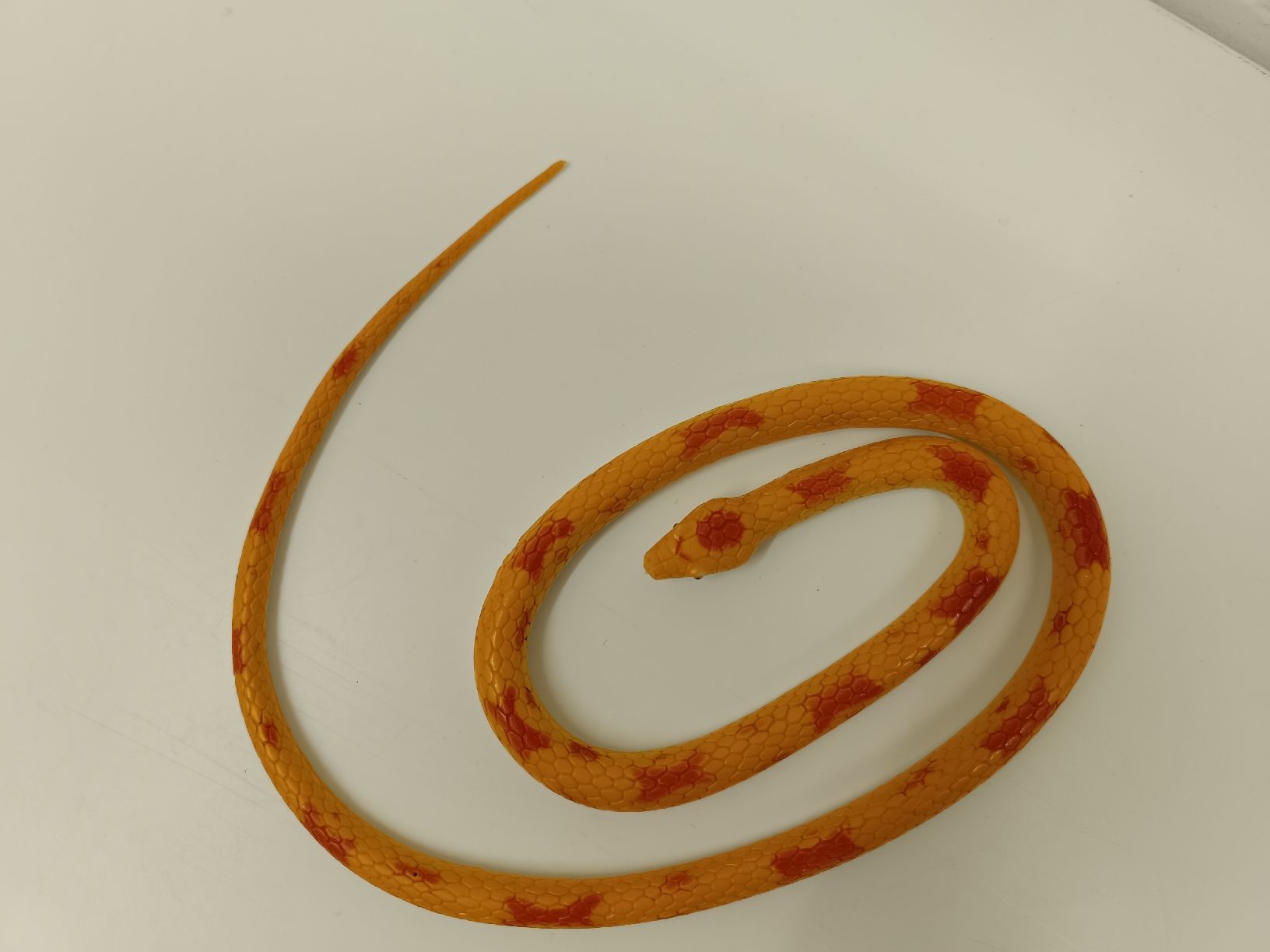 Giocattoli: Gummischlange – Usato da Ehrendingen venduto da Cheronimo2 1