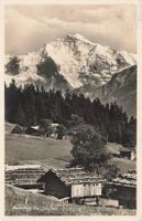 Lauterbrunnen BE Die Jungfrau mit Alphütten