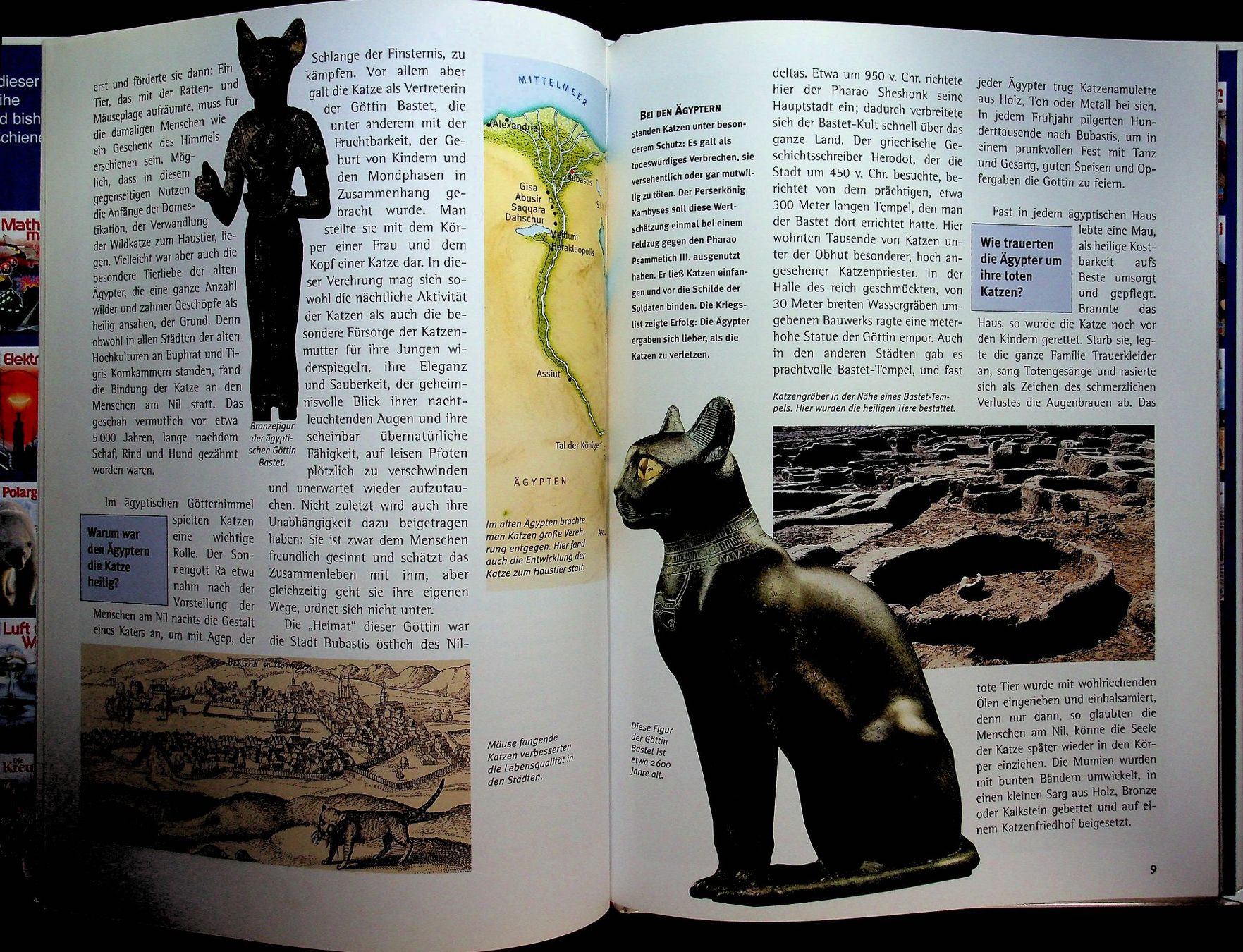 Livres: Was ist was Band 59 Katzen – D'occasion à Reitnau par Zaomir 4