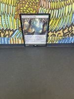 Magic the Gathering Verdant Catacombs 