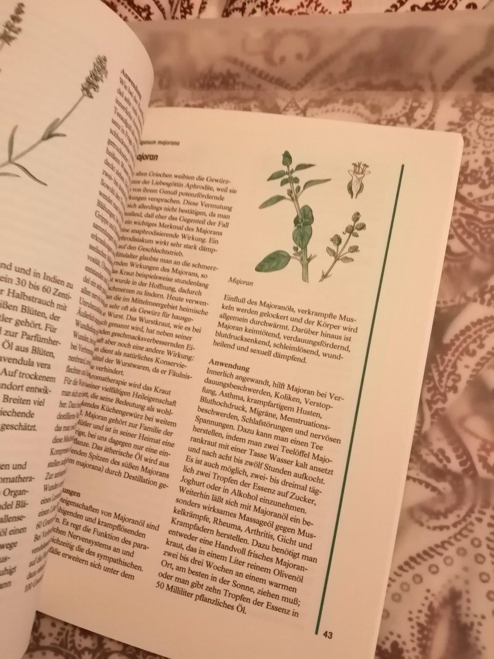 Libri: Aromatherapie – Nuovo (secondo la descrizione) da Ostermundigen venduto da Dinge1 4