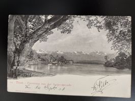 Thun  Panorama von der Seepromenade dat. 1903