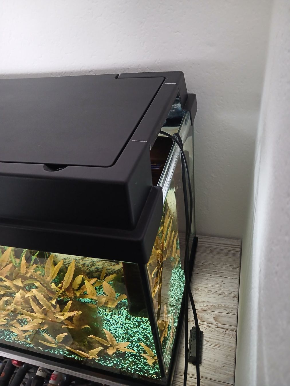 Juwel Aquarium: Aquarium 110l – Gebraucht aus Sarmenstorf von Sir_Lyncoln 3