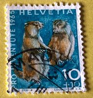 Nr.J 211 GESTEMPELT Alpenmurmeltier 1965  