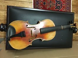 Violine