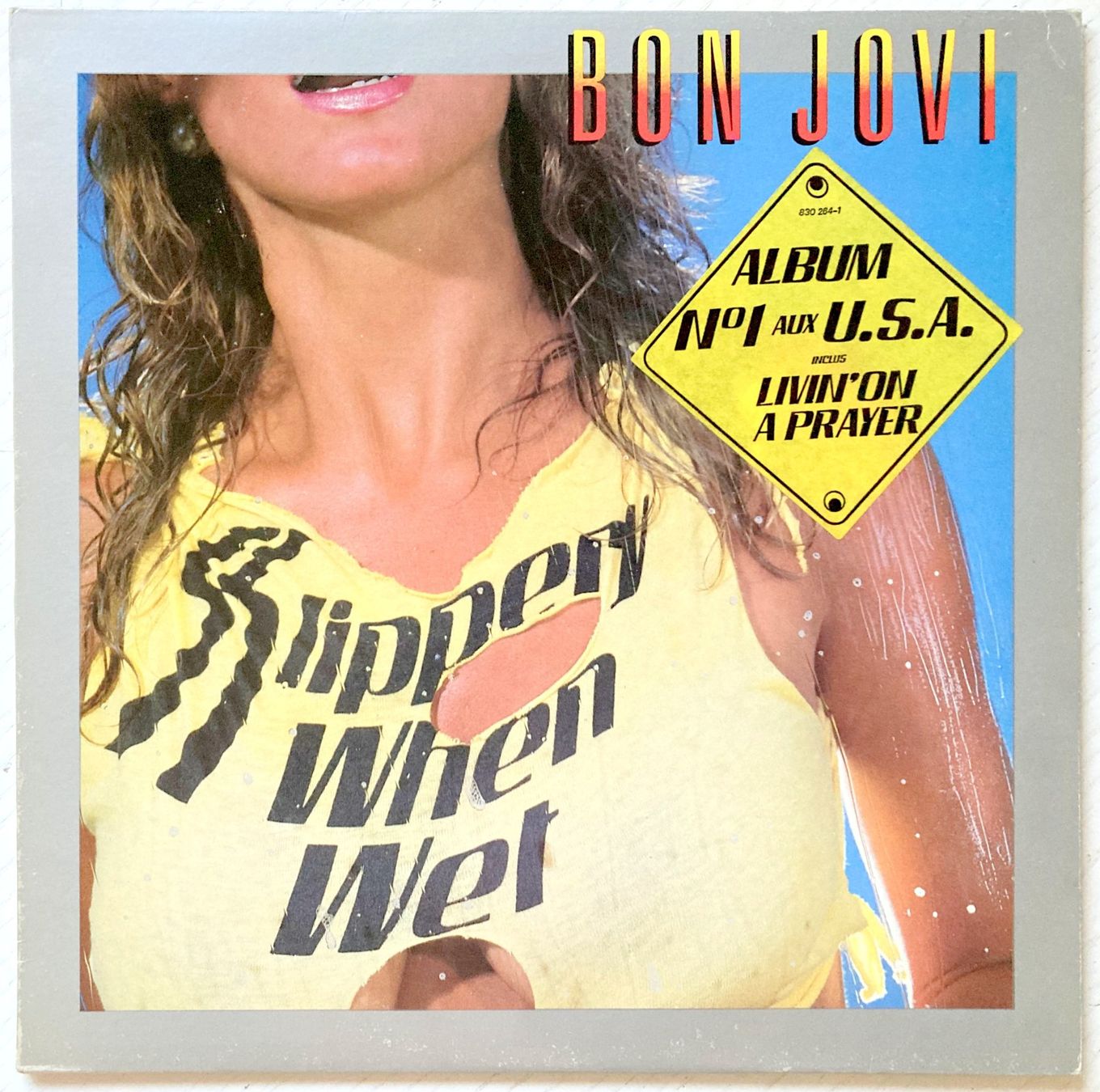 Dischi in vinile: BON JOVI - SLIPPERY WHEN WET – Usato da Bottens venduto da hotter-than-hell