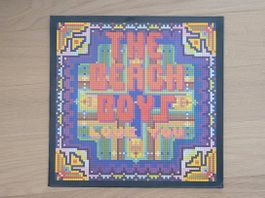 LP  The Beach Boys