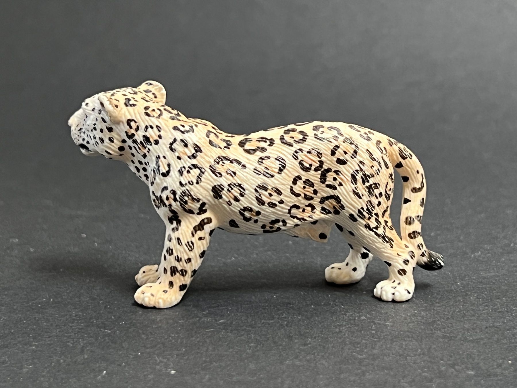 Schleich Statuette: Schleich 14838 Schneeleopard Leopard – Usato da Ennetbaden venduto da mapa05 5