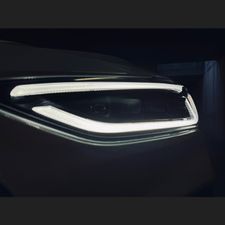 Profile image of P._S._Meier
