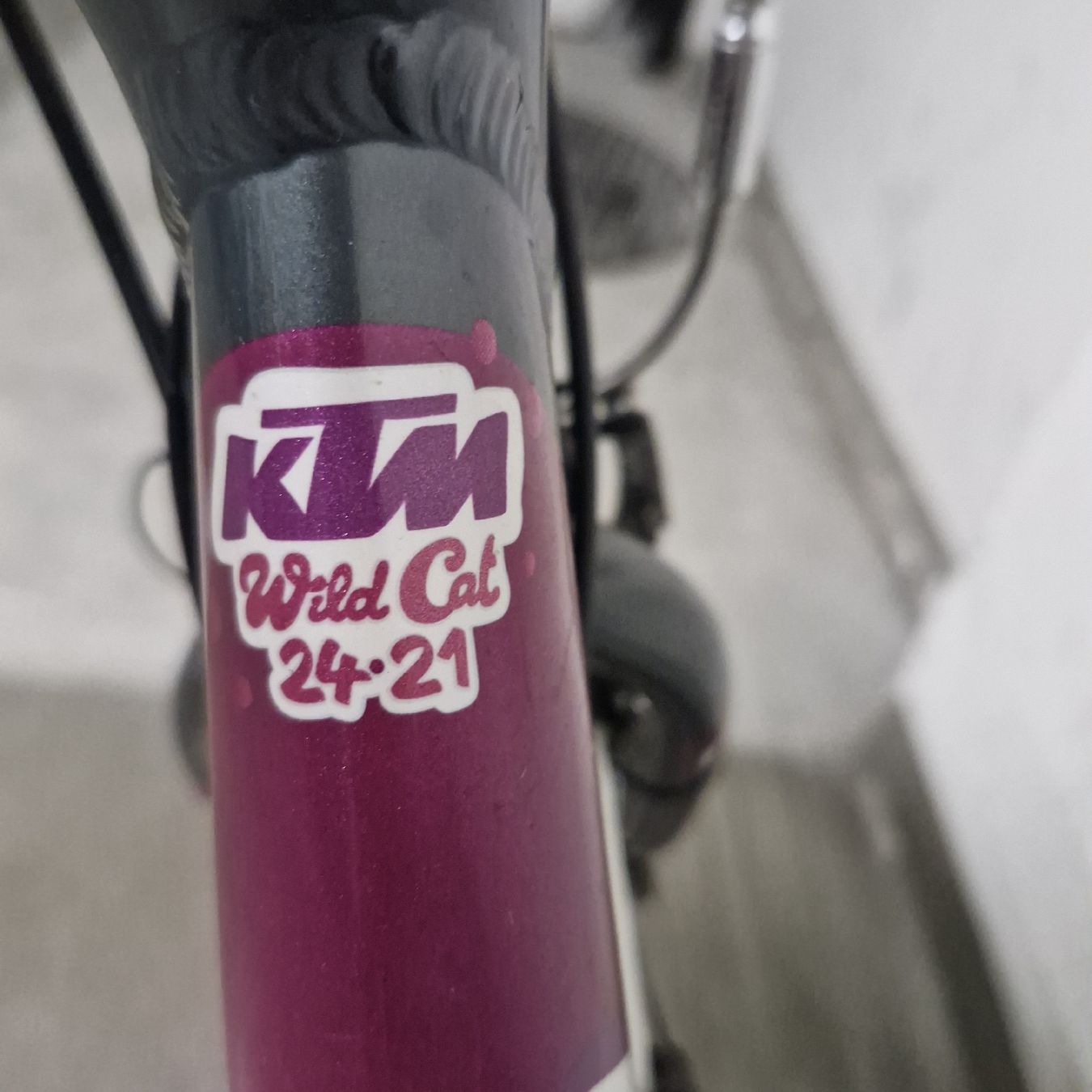 KTM Velos: KTM Catwild 24 Zoll – Gebraucht aus Basel von shape03 2