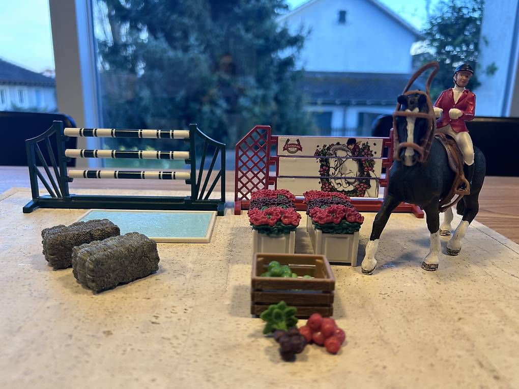 Giocattoli: Schleich Springreiter – Usato da Allschwil venduto da zena06