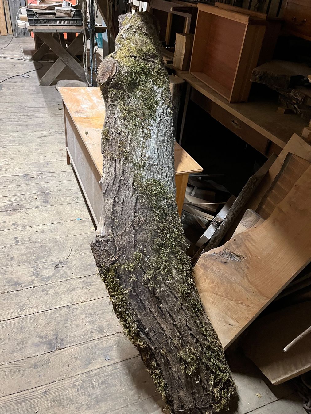 Articoli in legno: Nussbaumbrett mit Rinde Tablar 180 x 25 cm – Usato da burgdorf venduto da Swiss-Made-Wood-Art 1