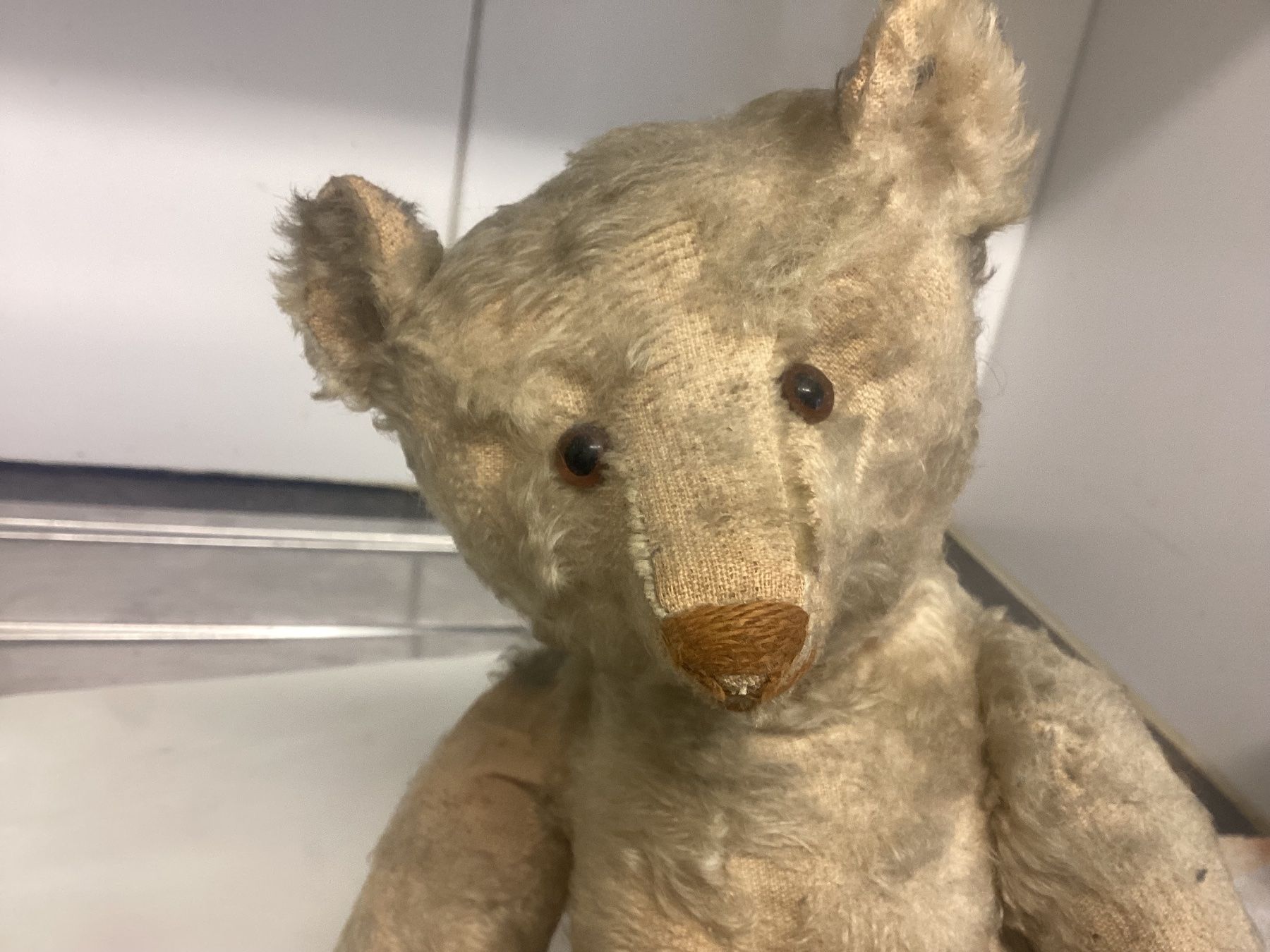 Steiff Jouets: ANTIKER STEIFF TEDDY VORKRIEG – D'occasion à Münchenstein par NoSu98