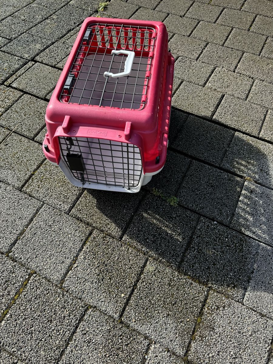 Käfige, Transport & Sicherheit: Hunde- und Katzenbox – Gebraucht aus Kefikon ZH von Gary97 2