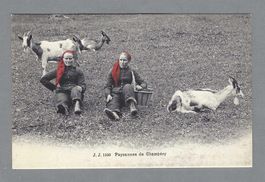 PAYSANNES DE CHAMPÉRY, *, CHÈVRES