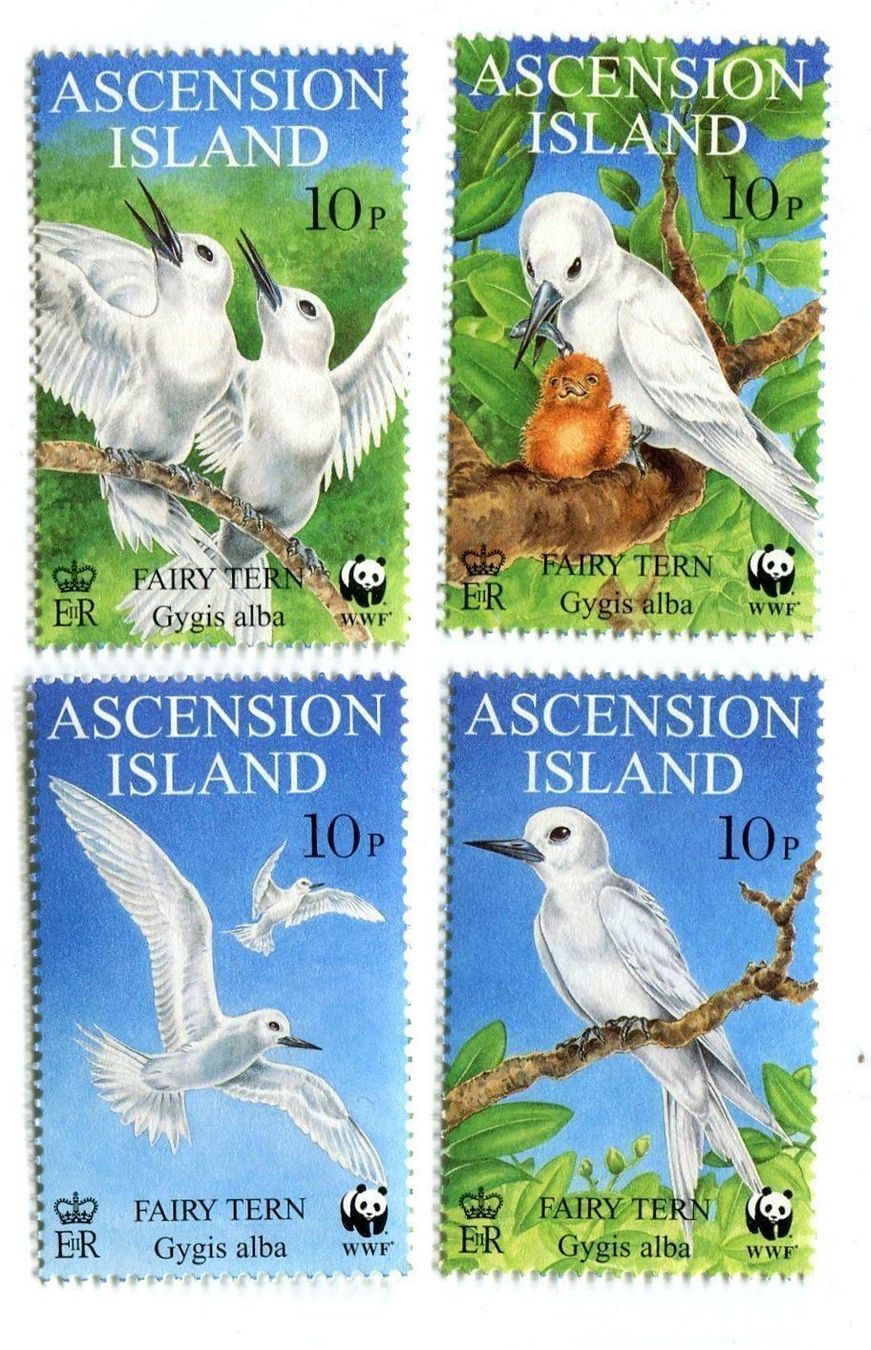 Alle Briefmarken: Briefmarken "Feenseeschwalben" Ascension – Neu und originalverpackt aus Basel von Butsch5
