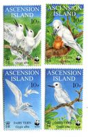 Briefmarken "Feenseeschwalben" Ascension
