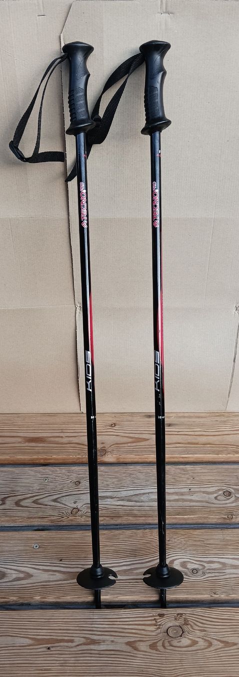 Bastoncini da sci: 2 TECNO PRO Skistöcke 80cm – Usato da Densbüren venduto da H-76 2