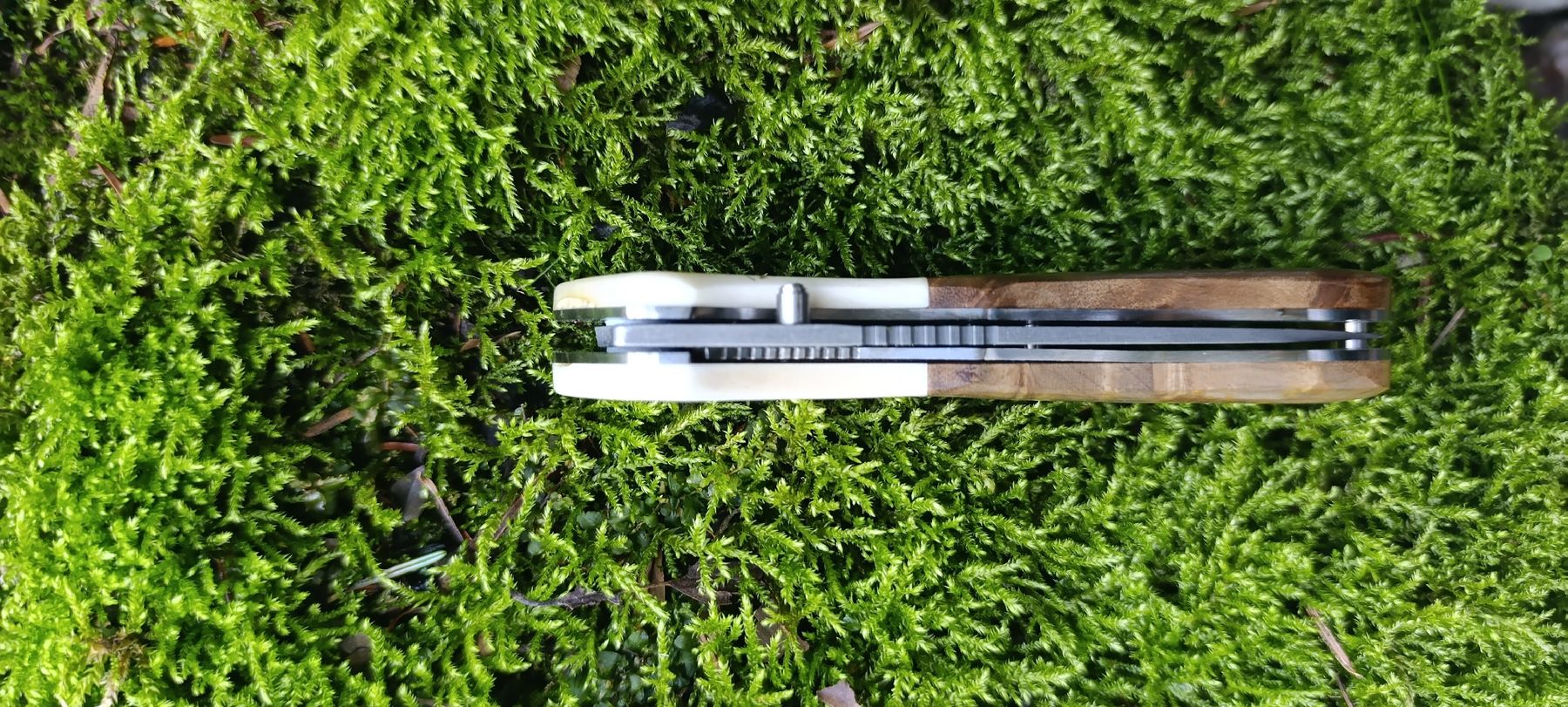 Taschenmesser: American Mint Taschenmesser  – Gebraucht aus Oppligen von can_rf8g 8