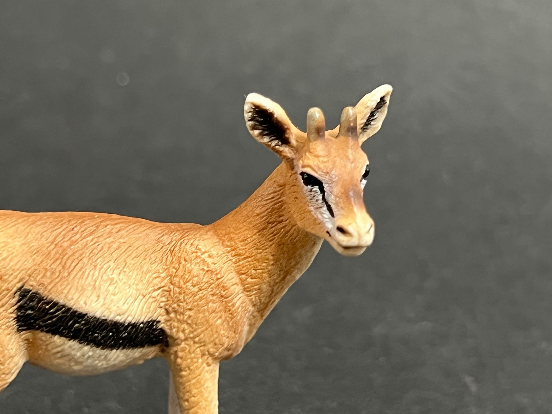 Schleich Statuette: Schleich Gazelle und Junges – Usato da Ennetbaden venduto da mapa05 5