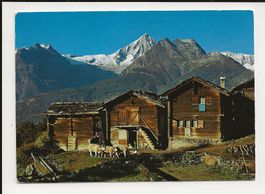 AK 1970 Voralpe Hellelen Wallis Bietschhorn 3934m