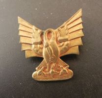 Insigne - Neuchâtel en Faveur de l'Hôpital Pourtales 1938