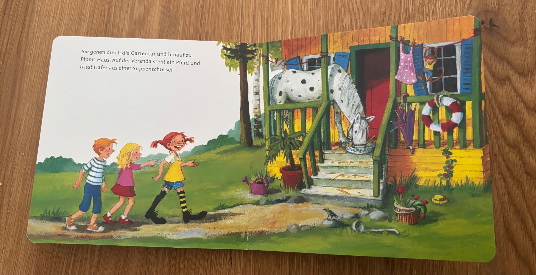 Libri: Pippi Langstrumpf – Usato da Jegenstorf venduto da Annina0506 5