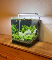 Aquarium Nano Cube 30L mit LED Beleuchtung guter Zustand