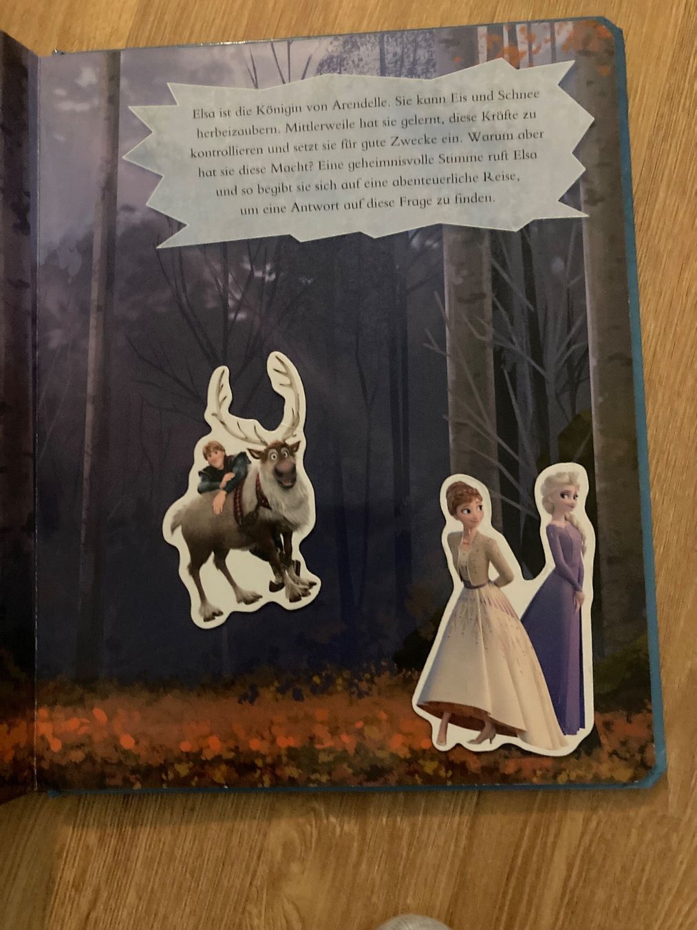 Libri: Frozen Magnet Buch – Usato da Emmenbrücke venduto da JJ_89 3