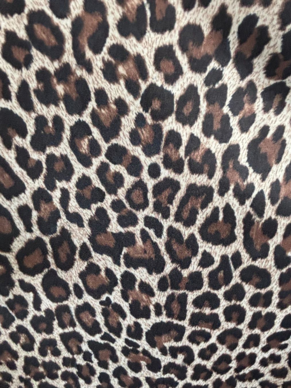 T-shirt: T-Shirt, Grösse 38, Leopardenmuster – Usato da schmerikon venduto da nicole091 3