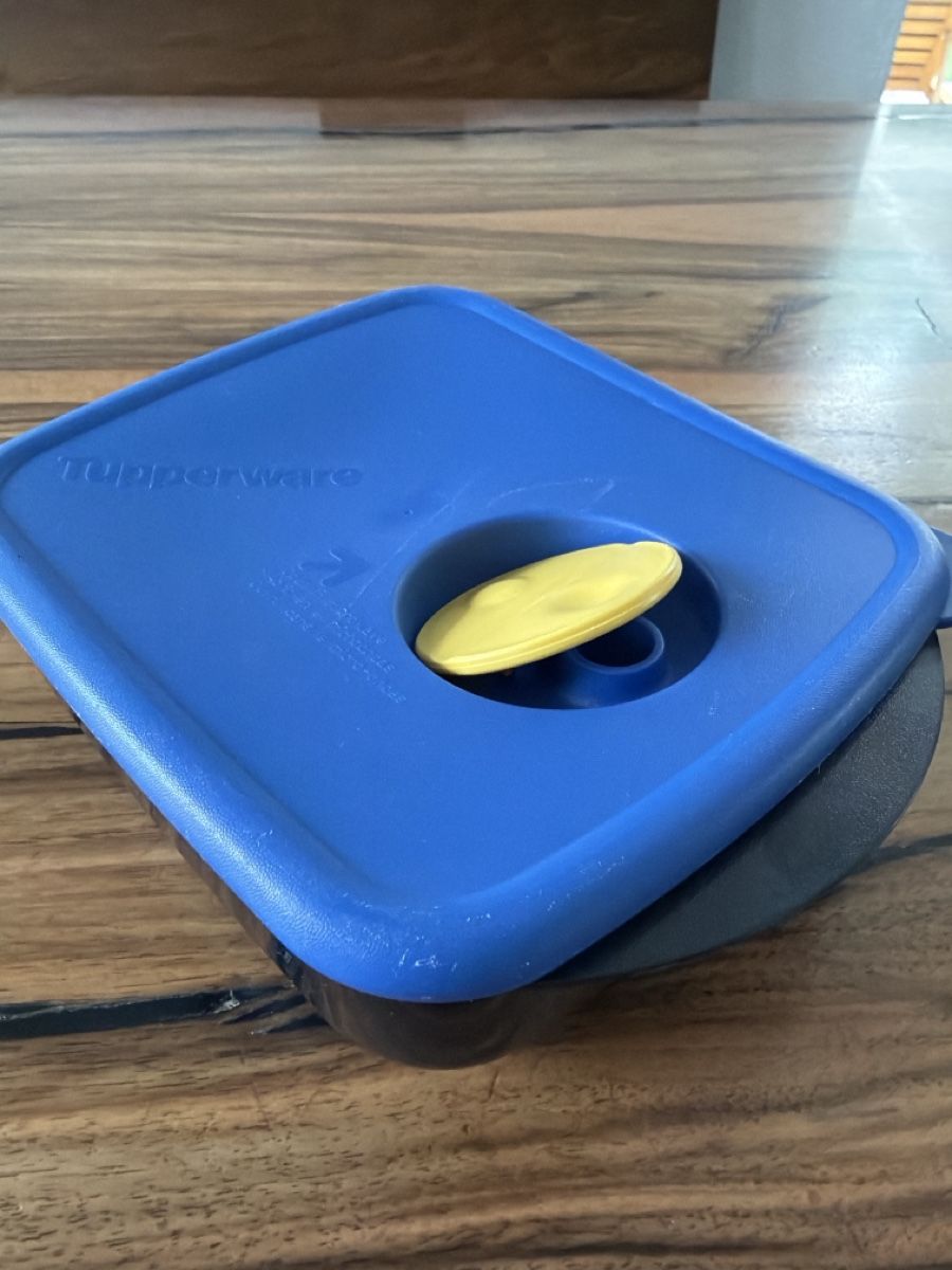 Tupperware Contenitori & Simili: Tupperware Behälter 600 ml mit Deckel, blau/dunkelblau – Usato da St.Gallen venduto da Ha-Ha