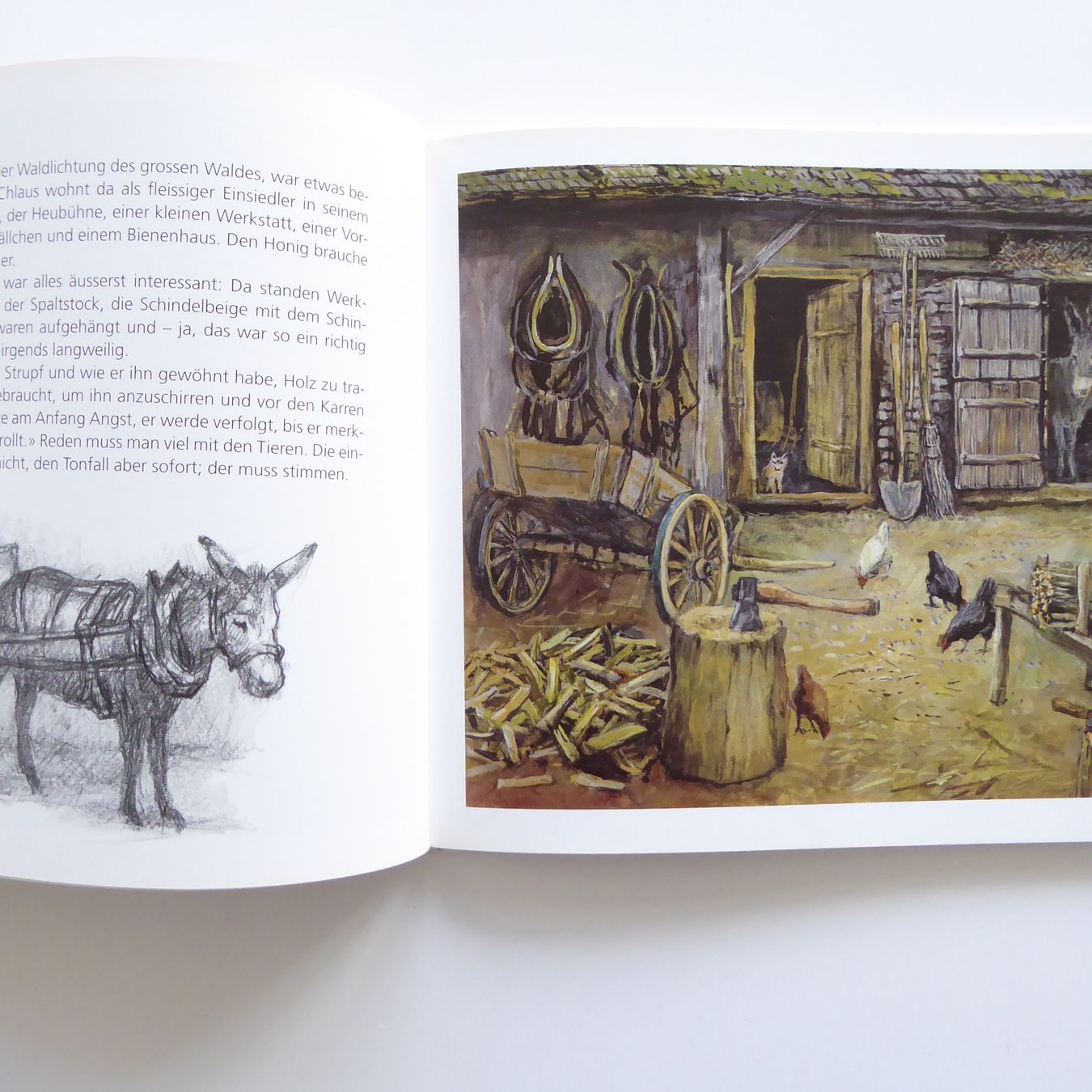 Libri: Strupf wird Samichlaus-Esel – Usato da Basel venduto da Kunterbunt12 5