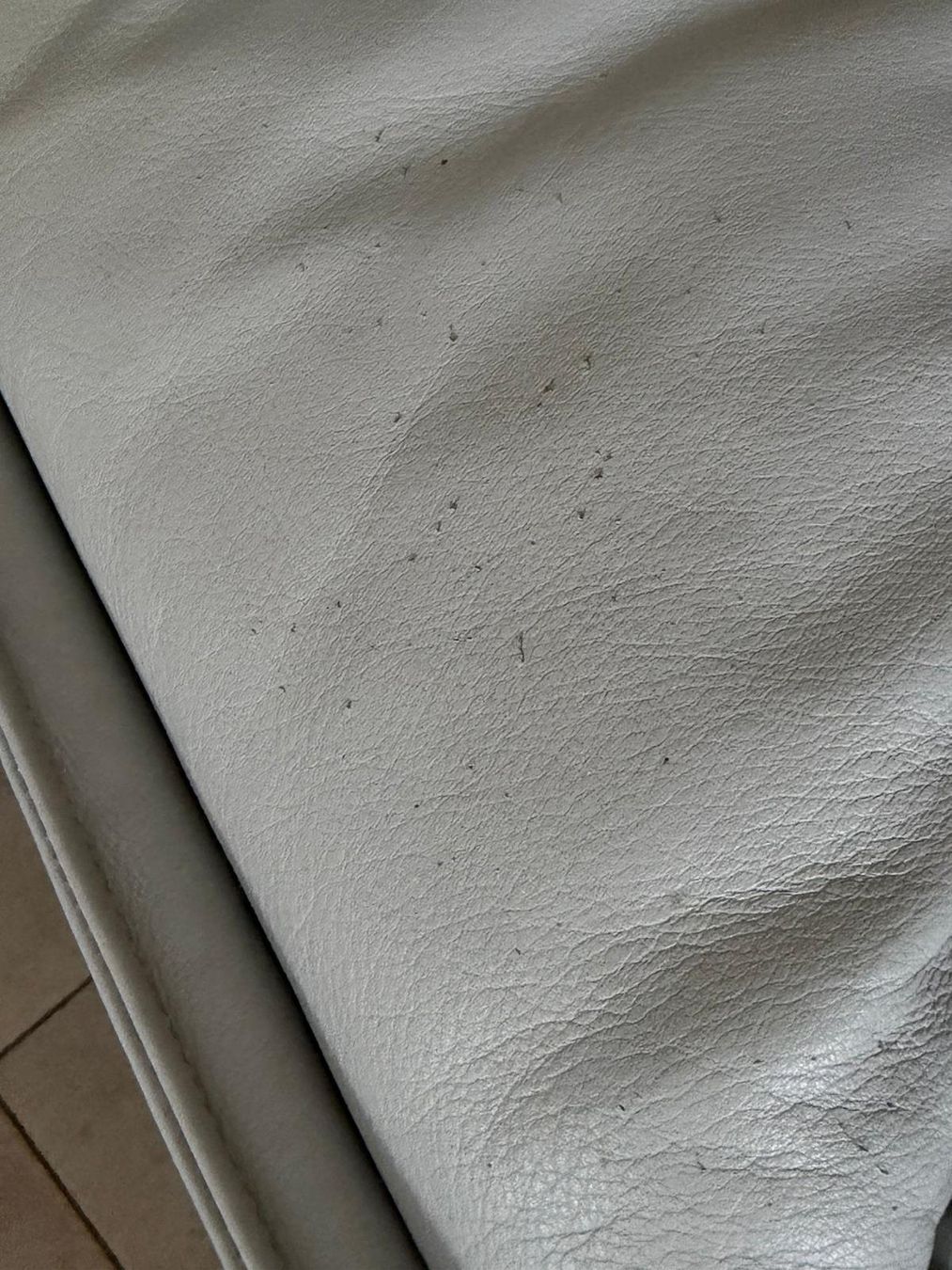 Cassina Divani: Cassina Design Sofa Vico Magistretti – Usato da Pfaffhausen venduto da Voe 4
