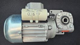 Getriebemotor 0.11kW 230V Vektor M56C4