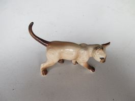 Katze 3