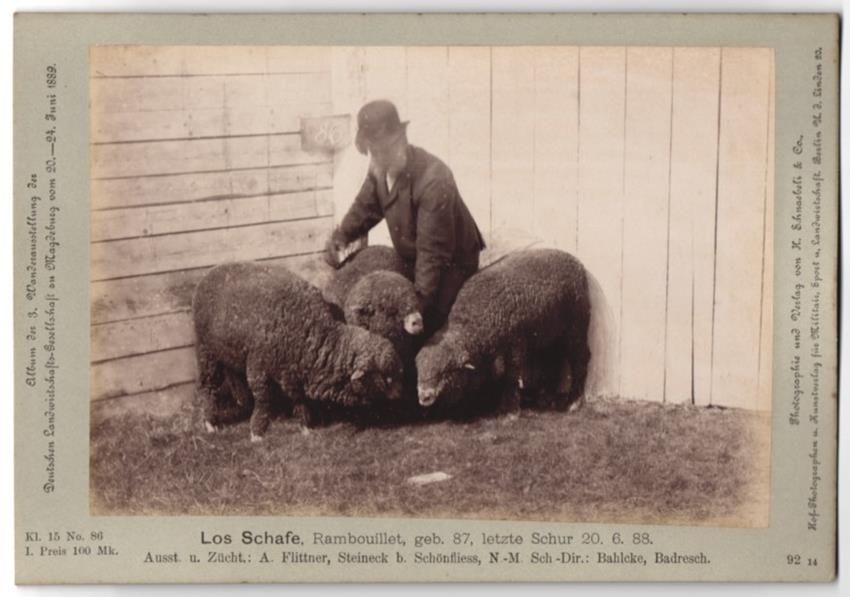 Photos & affiches: Fotografie H. Schnaebeli, Berlin, Ausste – D'occasion à Berlin par bartko-reher