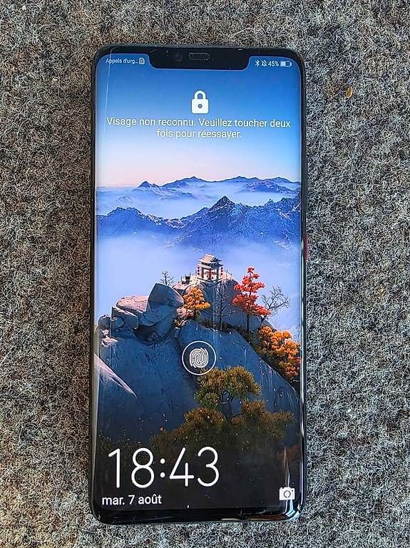 Telefoni cellulari / Smartphones: Huawei Mate 20 pro 128gb bleu – Usato da Bofflens venduto da Ygamekult0