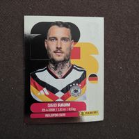 Panini GER4 David Raum Silver Edition
