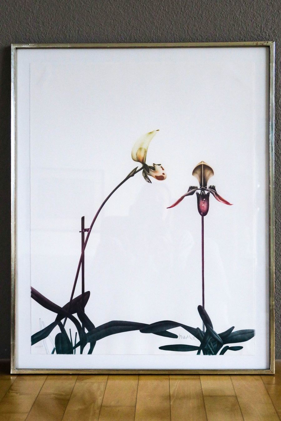 Paul Wunderlich、LITHOGRAPHIEN Ⅰ-Ⅳ 【公式通販】