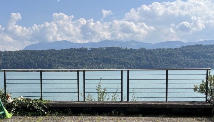 Ringhiere: Hochwertiges Handlaufgeländer  – Usato da Bäriswil BE venduto da Mallemann